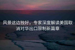 風(fēng)景這邊獨(dú)好，專家深度解讀美國取消對(duì)華出口限制新篇章