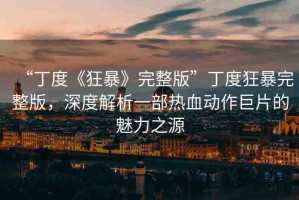 “丁度《狂暴》完整版”丁度狂暴完整版，深度解析一部熱血?jiǎng)幼骶奁镊攘χ? title=