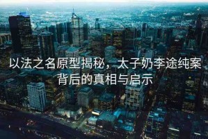 以法之名原型揭秘，太子奶李途純案背后的真相與啟示