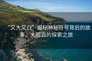 “又大又白”揭秘神秘符號背后的故事，大而白的探索之旅