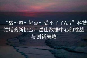 “岳～嗯～輕點(diǎn)～受不了了A片”科技領(lǐng)域的新挑戰(zhàn)，岳山數(shù)據(jù)中心的挑戰(zhàn)與創(chuàng)新策略