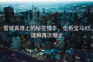 雪域高原上的秘密獵手，全新寶馬X5諜照再次曝光