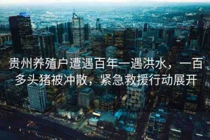 貴州養(yǎng)殖戶遭遇百年一遇洪水，一百多頭豬被沖散，緊急救援行動(dòng)展開(kāi)