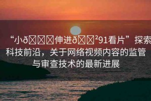 “小??伸進(jìn)??91看片”探索科技前沿，關(guān)于網(wǎng)絡(luò)視頻內(nèi)容的監(jiān)管與審查技術(shù)的最新進(jìn)展