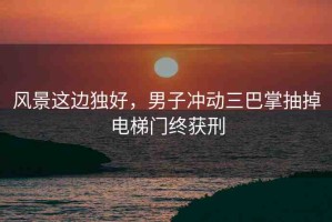 風(fēng)景這邊獨(dú)好，男子沖動(dòng)三巴掌抽掉電梯門(mén)終獲刑