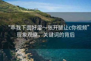 “乖我下面好濕～張開腿讓c你視頻”現(xiàn)象觀察，關(guān)鍵詞的背后
