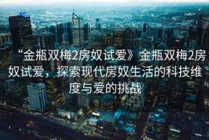 “金瓶雙梅2房奴試愛》金瓶雙梅2房奴試愛，探索現(xiàn)代房奴生活的科技維度與愛的挑戰(zhàn)