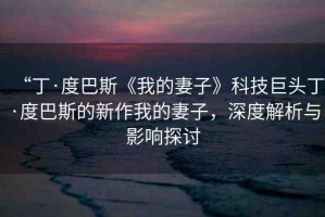 “丁·度巴斯《我的妻子》科技巨頭丁·度巴斯的新作我的妻子，深度解析與影響探討