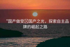 “國產(chǎn)做受?國產(chǎn)之光，探索自主品牌的崛起之路