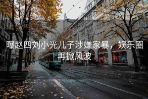 曝趙四劉小光兒子涉嫌家暴，娛樂圈再掀風(fēng)波