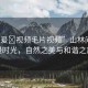 “做爰?視頻毛片視頻”山林間的浪漫時光，自然之美與和諧之旅