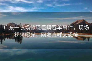 廣東一農(nóng)場驚現(xiàn)巨蟒吞羊事件，現(xiàn)場視頻曝光，網(wǎng)友直呼太恐怖