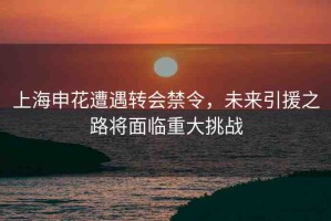 上海申花遭遇轉(zhuǎn)會禁令，未來引援之路將面臨重大挑戰(zhàn)