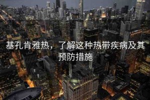 基孔肯雅熱，了解這種熱帶疾病及其預(yù)防措施