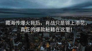 藏海傳爆火背后，肖戰(zhàn)只是錦上添花，真正的爆款秘籍在這里！