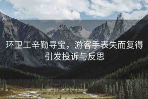 環(huán)衛(wèi)工辛勤尋寶，游客手表失而復得引發(fā)投訴與反思