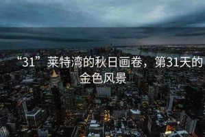 “31”萊特灣的秋日畫卷，第31天的金色風(fēng)景