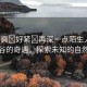 “好爽?好緊?再深一點(diǎn)陌生人”穿越峽谷的奇遇，探索未知的自然之美