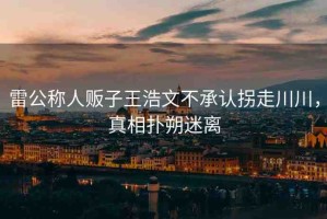 雷公稱人販子王浩文不承認(rèn)拐走川川，真相撲朔迷離