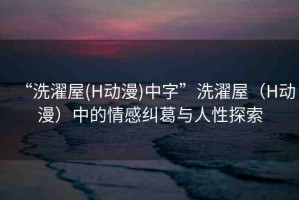 “洗濯屋(H動漫)中字”洗濯屋（H動漫）中的情感糾葛與人性探索