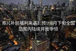 育兒補(bǔ)貼福利來襲！預(yù)計(jì)8月下旬全國范圍內(nèi)陸續(xù)開放申領(lǐng)