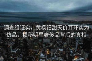 調(diào)查組證實(shí)，黃楊鈿甜天價(jià)耳環(huán)實(shí)為仿品，揭秘明星奢侈品背后的真相