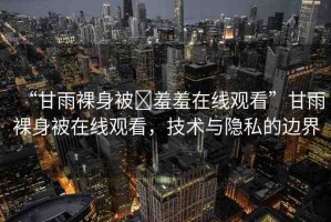 “甘雨裸身被?羞羞在線觀看”甘雨裸身被在線觀看，技術(shù)與隱私的邊界