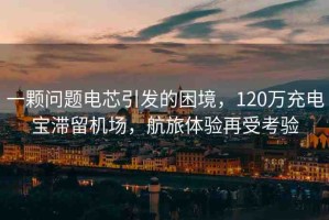 一顆問題電芯引發(fā)的困境，120萬充電寶滯留機(jī)場，航旅體驗(yàn)再受考驗(yàn)