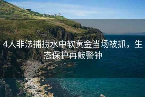 4人非法捕撈水中軟黃金當場被抓，生態(tài)保護再敲警鐘
