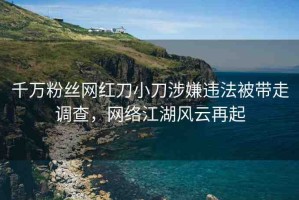 千萬粉絲網紅刀小刀涉嫌違法被帶走調查，網絡江湖風云再起