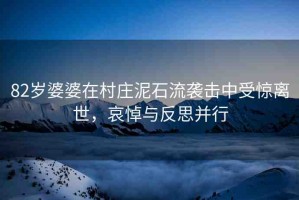 82歲婆婆在村莊泥石流襲擊中受驚離世，哀悼與反思并行