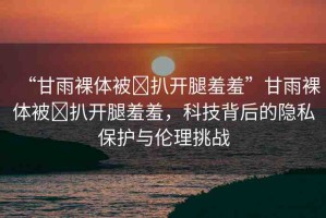 “甘雨裸體被?扒開腿羞羞”甘雨裸體被?扒開腿羞羞，科技背后的隱私保護與倫理挑戰(zhàn)