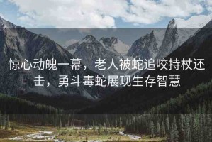 驚心動魄一幕，老人被蛇追咬持杖還擊，勇斗毒蛇展現(xiàn)生存智慧