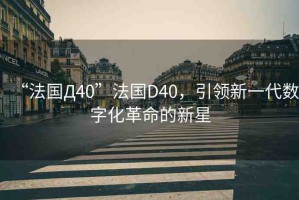 “法國Д40”法國D40，引領(lǐng)新一代數(shù)字化革命的新星