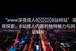 “www深夜成人??B站網(wǎng)站”深夜探索，B站成人內(nèi)容的獨特魅力與網(wǎng)站解析