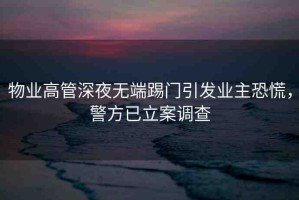 物業(yè)高管深夜無(wú)端踢門(mén)引發(fā)業(yè)主恐慌，警方已立案調(diào)查