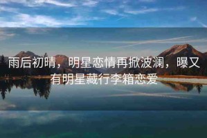 雨后初晴，明星戀情再掀波瀾，曝又有明星藏行李箱戀愛