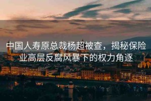 中國人壽原總裁楊超被查，揭秘保險業(yè)高層反腐風暴下的權(quán)力角逐