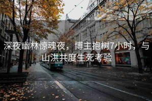 深夜幽林驚魂夜，博主抱樹7小時(shí)，與山洪共度生死考驗(yàn)
