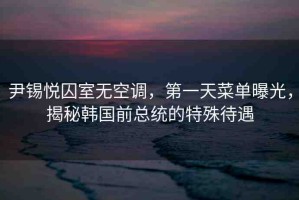 尹錫悅囚室無(wú)空調(diào)，第一天菜單曝光，揭秘韓國(guó)前總統(tǒng)的特殊待遇