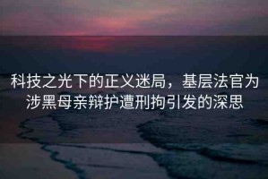 科技之光下的正義迷局，基層法官為涉黑母親辯護(hù)遭刑拘引發(fā)的深思