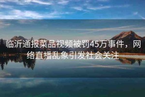 臨沂通報菜品視頻被罰45萬事件，網(wǎng)絡(luò)直播亂象引發(fā)社會關(guān)注