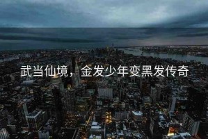 武當(dāng)仙境，金發(fā)少年變黑發(fā)傳奇