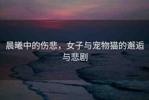 晨曦中的傷悲，女子與寵物貓的邂逅與悲劇