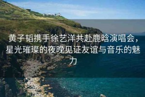 黃子韜攜手徐藝洋共赴鹿晗演唱會，星光璀璨的夜晚見證友誼與音樂的魅力