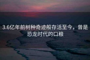 3.6億年前樹種奇跡般存活至今，曾是恐龍時(shí)代的口糧