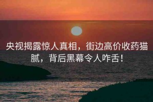 央視揭露驚人真相，街邊高價收藥貓膩，背后黑幕令人咋舌！