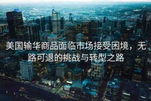 美國輸華商品面臨市場接受困境，無路可退的挑戰(zhàn)與轉(zhuǎn)型之路