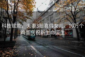 科技賦能，夫妻3胎喜得女兒，10萬(wàn)個(gè)雞蛋慶祝新生命誕生