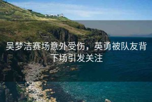 吳夢(mèng)潔賽場(chǎng)意外受傷，英勇被隊(duì)友背下場(chǎng)引發(fā)關(guān)注
